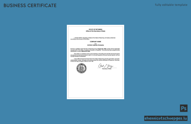 USA Wyoming Registrierungsbescheinigung Word und PDF, Version 2 Beispielvorschau
